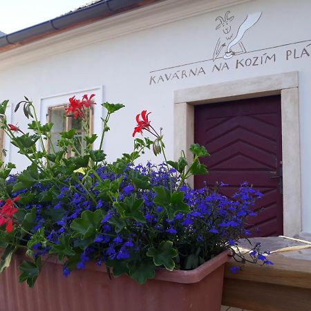 Cafe Kozi Placek Kutná Hora Exterior foto